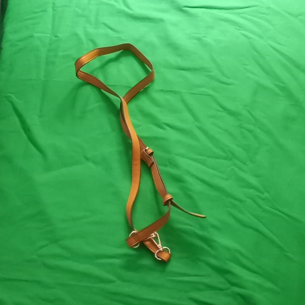 Purse/bag strap